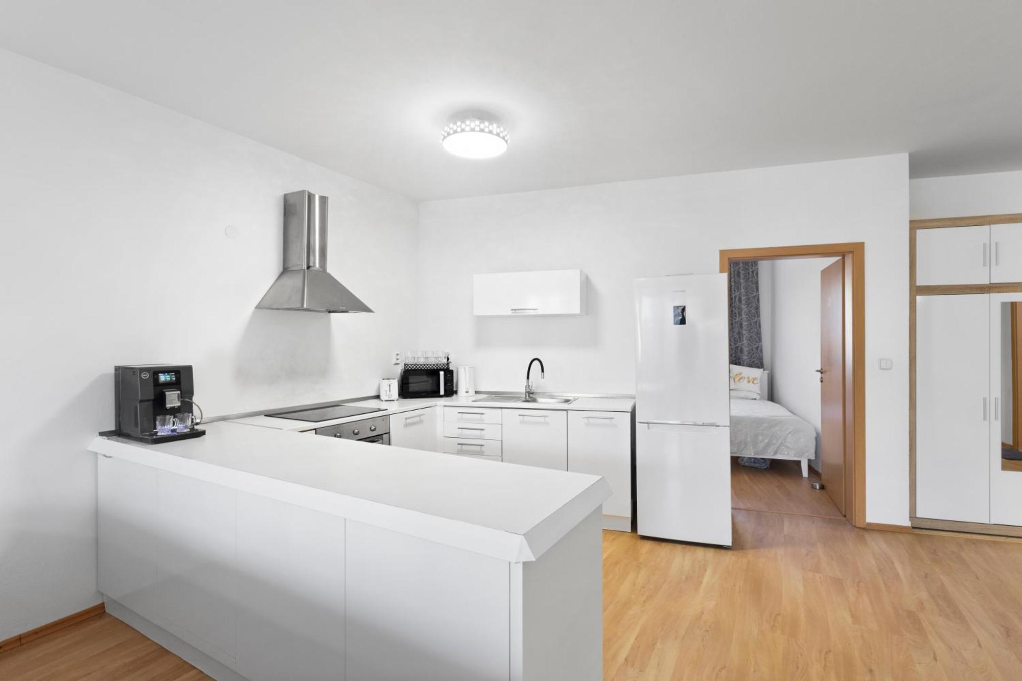 Apartment Puma V Centre Piestan 皮耶什佳尼 外观 照片